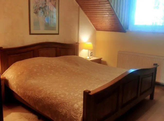 Karolina 베케슈처버